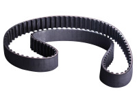 Laika siksna lombardini cdi Ligier JS50 / IXO / X-Too R / JSRC