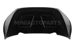 Ārējais motora pārsega panelis 2013. gada Aixam VISION