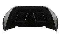 Ārējais motora pārsega panelis 2013. gada Aixam VISION