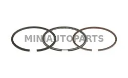 Lombarda dzinēju gredzeni + 1.00 - d. 72 Ligier JS50 / IXO / X-Too R / JSRC