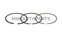 Mitsubishi standarta dzinēja blīves Casalini M10 / M12 / M14