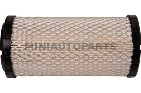 Lombardini cilindra gaisa filtrs Ligier JS50 / IXO / X-Too R / JSRC