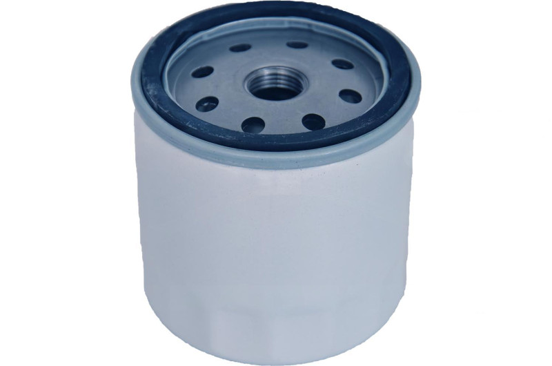 Lietots Lombardini dīzeļdegvielas filtrs Ligier JS50 / IXO / X-Too R / JSRC