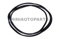 Priekšējā stikla blīve / 5 Grecav LM4