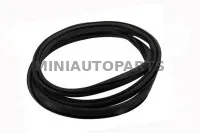 Ligier IXO priekšējā stikla blīve