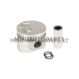 Yanmar standarta dzinēja virzulis JDM Titane / Albizia / Abaca / Aloes / Roxsy / Xheos