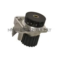 Lombardini ūdens sūknis Ligier JS50 / IXO / X-Too R / JSRC