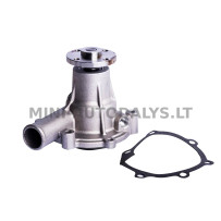 Mitsubushi ūdens sūknis Casalini Ydea / M10 / Sulky