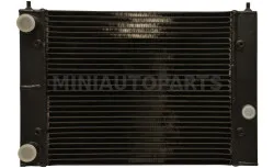 Ūdens radiators Ligier JS50 / IXO / X-Too