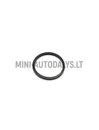 Putekļu blīvslēgs bremžu suporta virzulis priekšā Microcar / Ligier