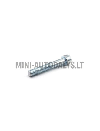 Bremžu suporta skrūve Ligier M10x60