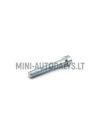 Bremžu suporta skrūve Ligier M10x60