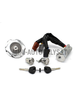 Slēdzeņu komplekts (3 vadi) Microcar / Ligier