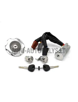 Slēdzeņu komplekts (3 vadi) Microcar / Ligier