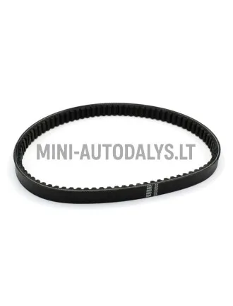 Piedziņas siksna Canta 704040