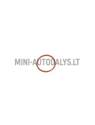 Sadales vārpstas spararata puses O-gredzens Lombardini 502 FOCS / Progress