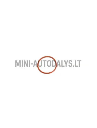 Sadales vārpstas spararata puses O-gredzens Lombardini 502 FOCS / Progress