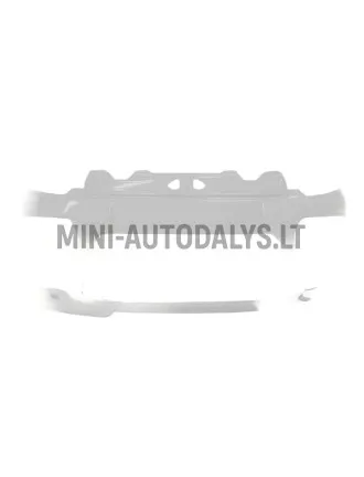 Priekšējais bamperis Ligier JS50/JS50L Sport Ph2/Ph3