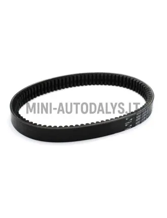 Pavaros siksna Aixam 3ARP023 AD52-2172-S