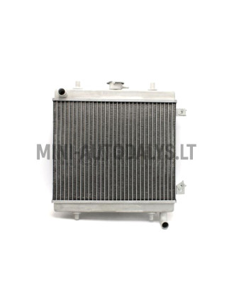 Radiators Grecav EKE / Sonique