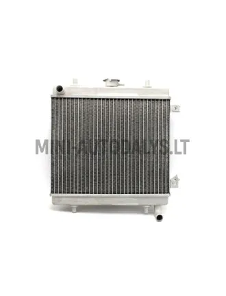 Radiators Grecav EKE / Sonique