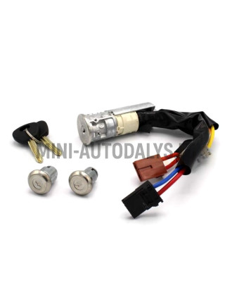 Aizdedzes slēdzene Aixam / Grecav / JDM / Chatenet