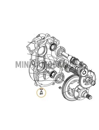 Magnētiskais izlaišanas korķis pārnesumkārbai Aixam