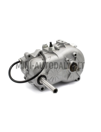 Ātrumkārba Ligier X-Pro / Casalini Kerry (1:12)