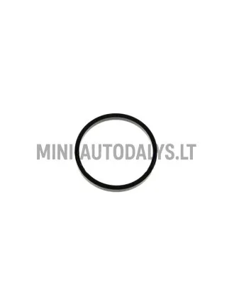 Ieplūdes kolektora blīve Lombardini 442 / 480 / 492 DCI