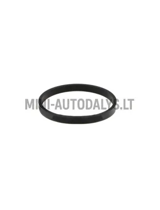 Termostata blīve Lombardini 442 / 480 / 492 DCI