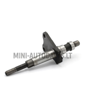 Aizmugurējo riteņu ass Microcar / Ligier / Due