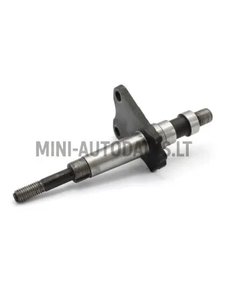 Aizmugurējo riteņu ass Microcar / Ligier / Due