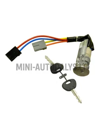 Aizdedzes slēdzene Microcar Virgo / Ligier Nova