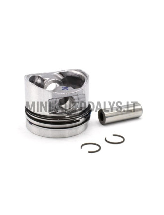 Virzulis un virzuļu gredzeni Lombardini 502 Progress Euro4 (STD)