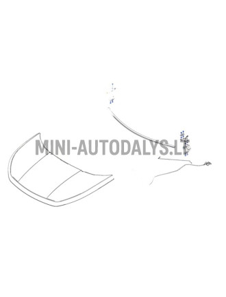 Kapota eņģe priekšējā labā Ligier JS60