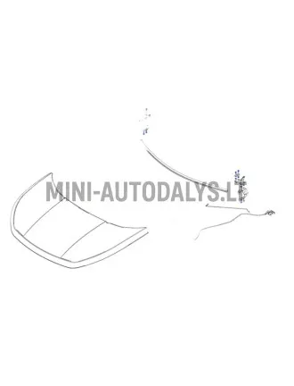 Kapota eņģe priekšējā labā Ligier JS60