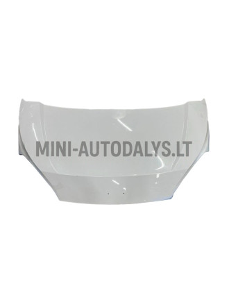 Ligier Flex / Microcar M.Cross pārsegs