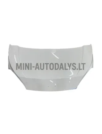 Ligier Flex / Microcar M.Cross pārsegs