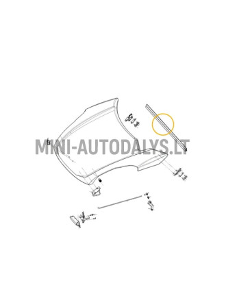 Kapota pārsega blīve Ligier JS50 / JS50L Ph1