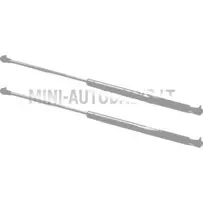 Aizmugurējo durvju amortizatoru komplekts Ligier JS50 / JS50L