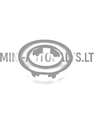 Degvielas tvertnes uzpildes kakliņa gredzens