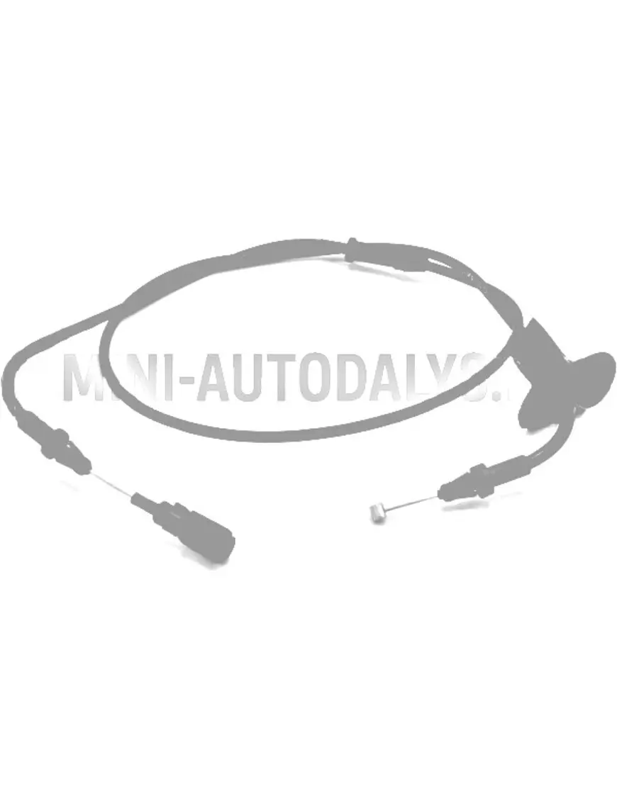 Atpakaļgaitas pārnesumu pārslēgšanas trose Microcar MGO1 / MGO2 / Due First