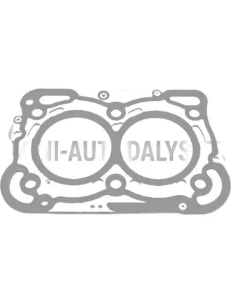 Galvas blīve Lombardini 442 / 492 DCI (2 caurumi)