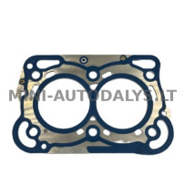 Galvas blīve Lombardini 442 / 492 DCI (2 caurumi)