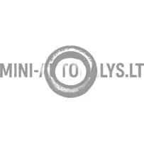 Comex 25x40x7 pārnesumkārbas ieejas vārpstas eļļas blīvslēgs