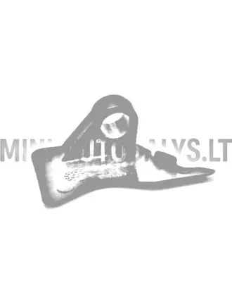 Aixam Impulsion dzinēja pārsega eņģe priekšējā labā