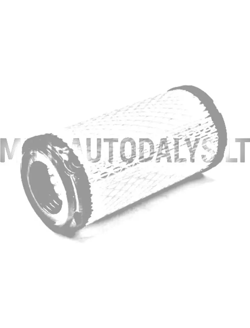 Gaisa filtrs Lombardini / Yanmar