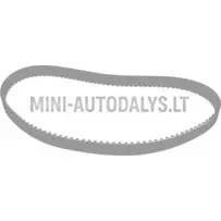 Sadales vārpstas siksna Lombardini DCI (124 zobi)