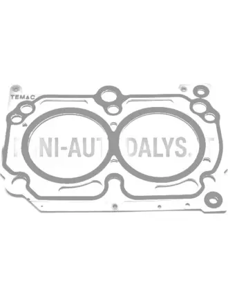 Cilindra galvas blīve Lombardini 502 Progress 1 iegriezums / caurums