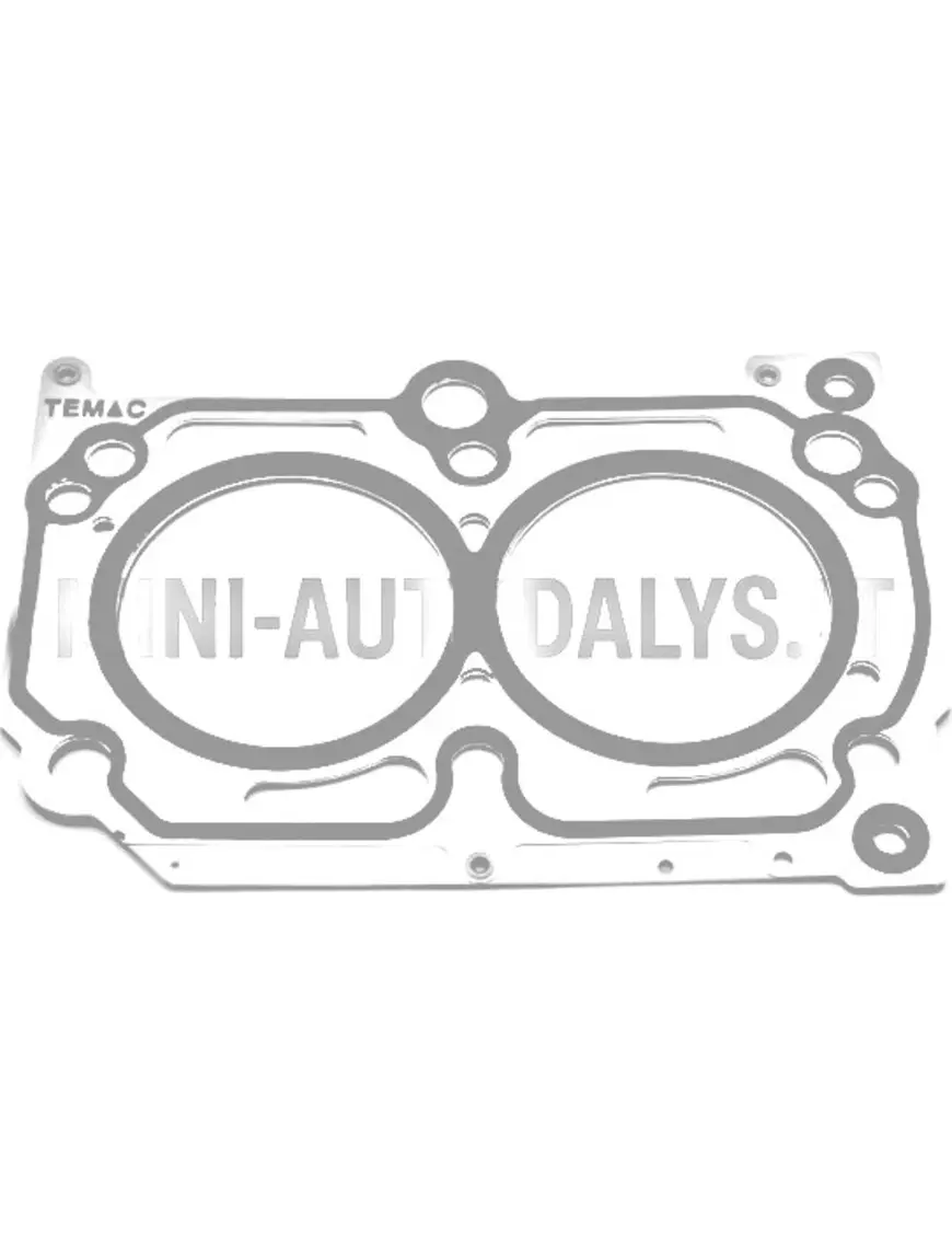 Cilindra galvas blīve Lombardini 502 Progress 1 iegriezums / caurums